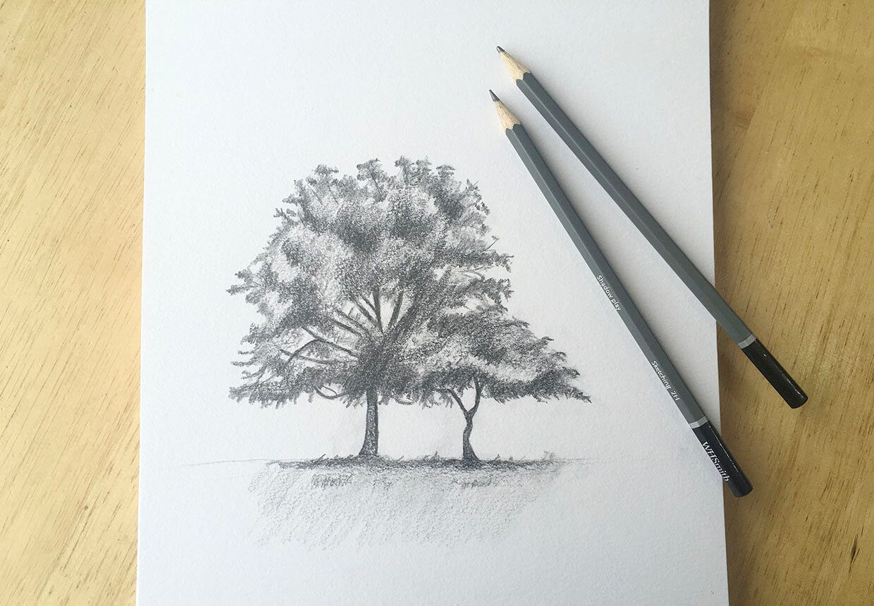 how to draw a tree 852f430
